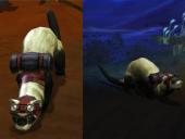 Ferret Torchlight Pet Frettchen Haustier